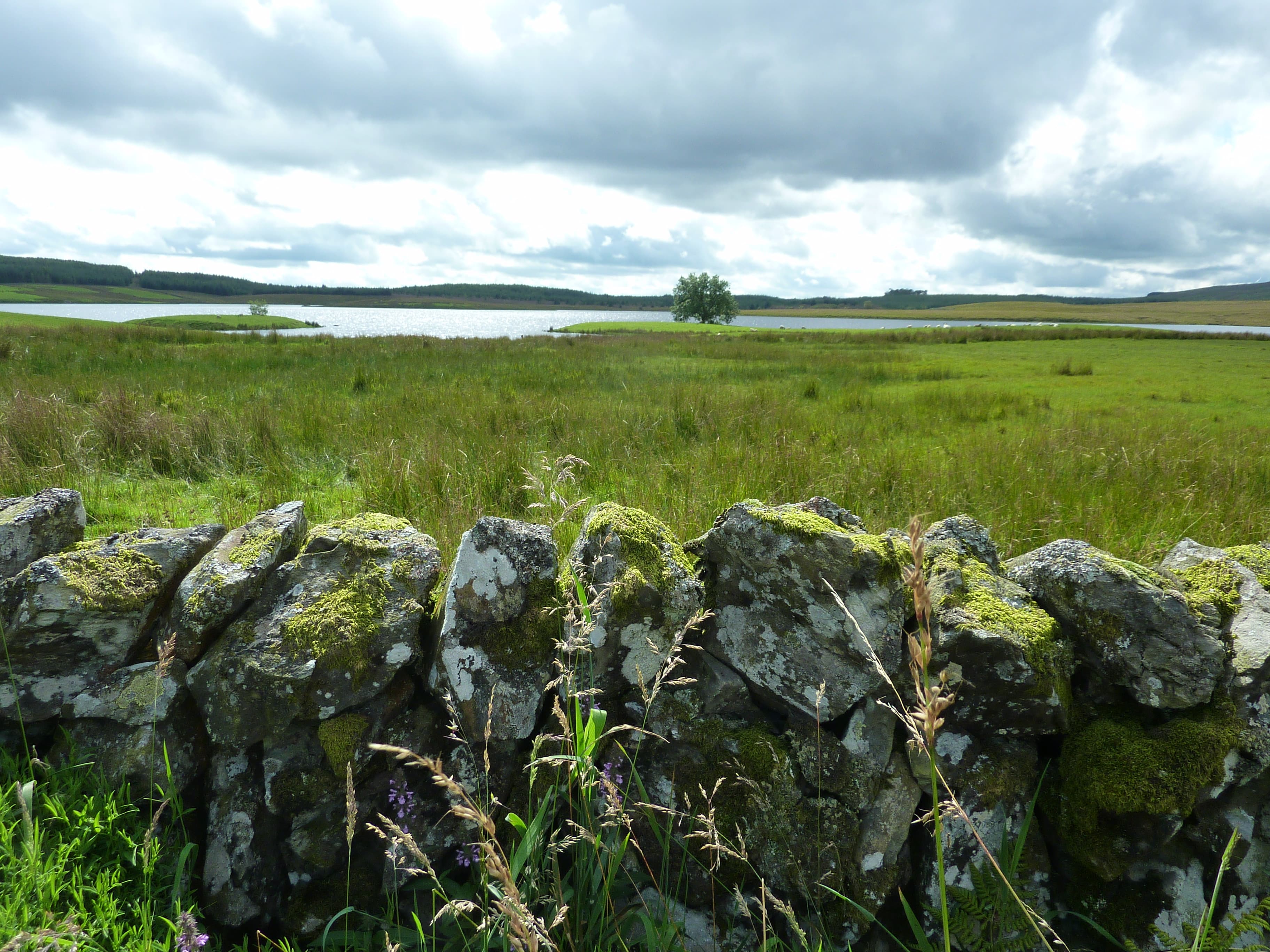 Dee and Glenkens, Dumfries and Galloway