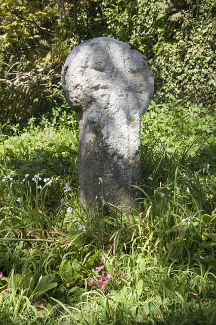 Altarnun & Stoke Climsland, Cornwall