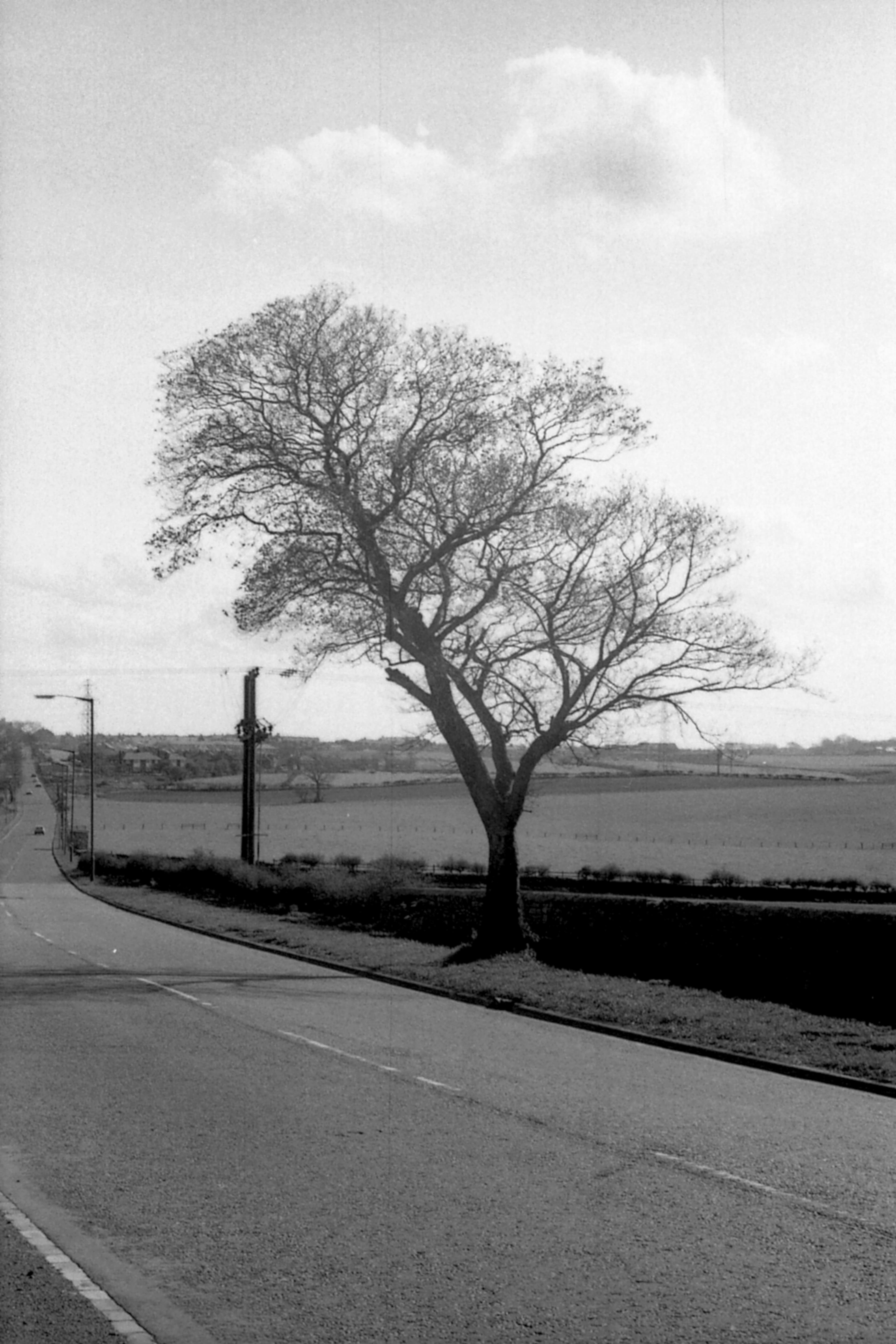 Annfield Plain & Tanfield, County Durham