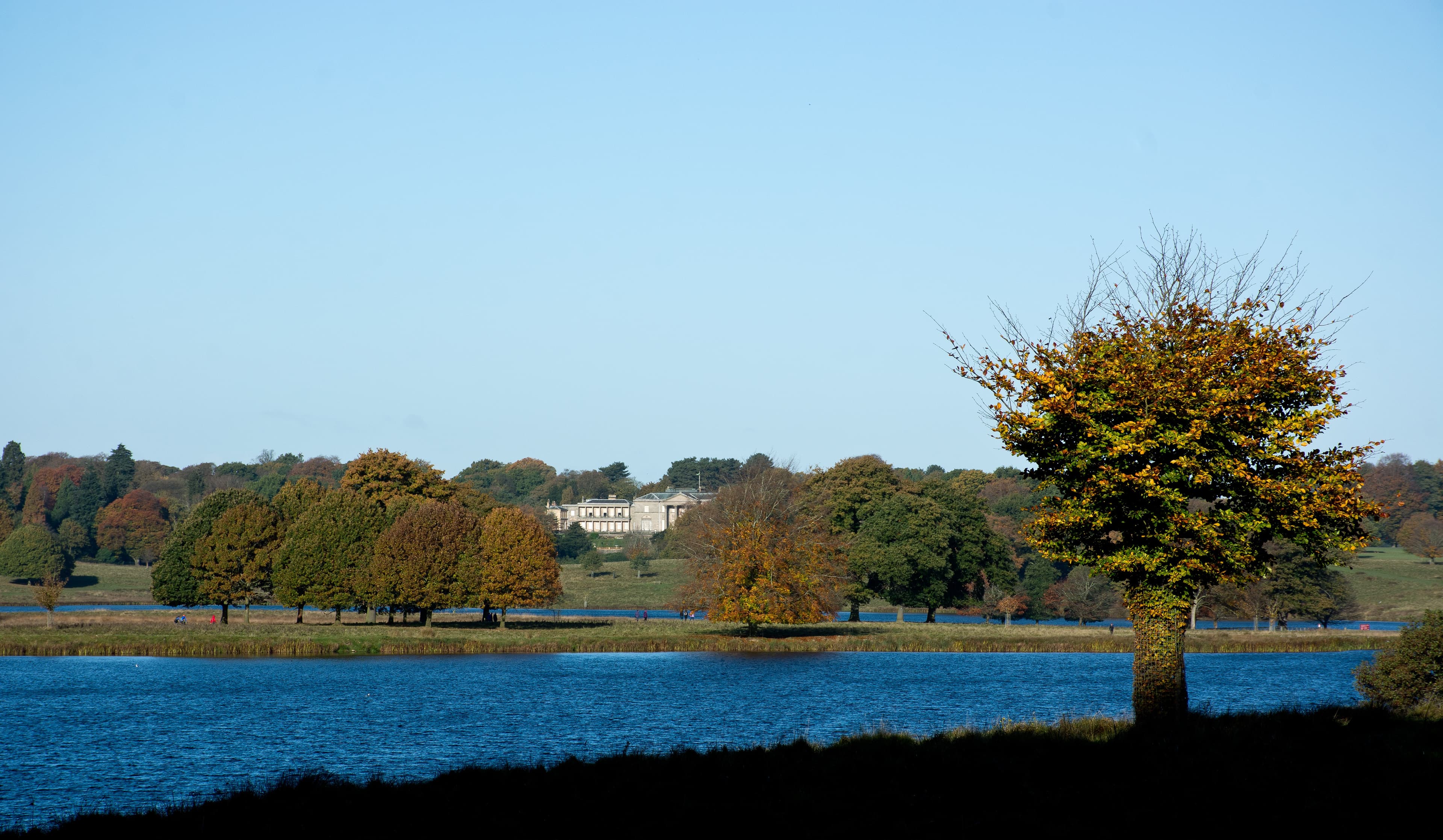 Alderley Edge, Cheshire East