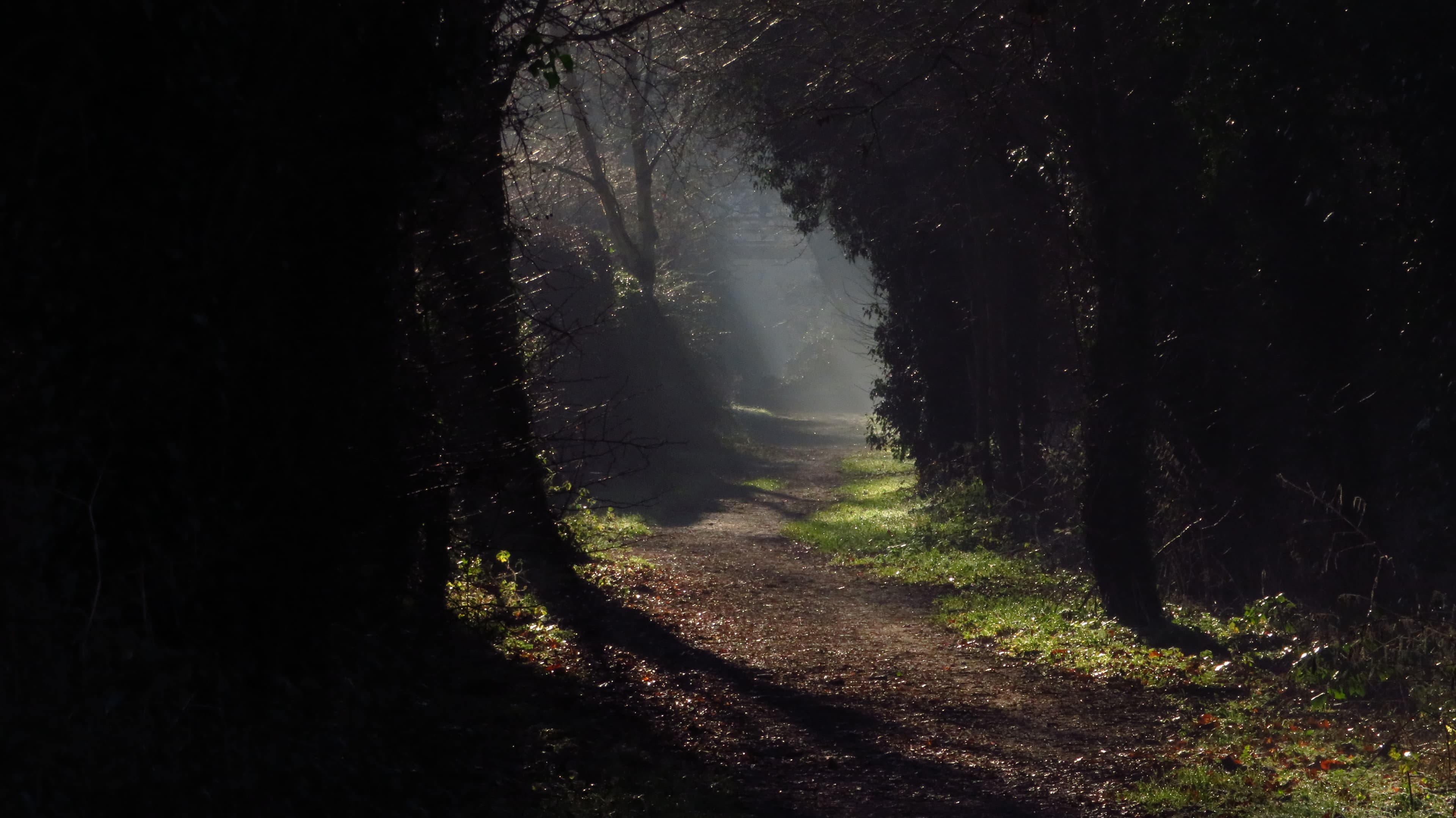 Aldercar, Amber Valley