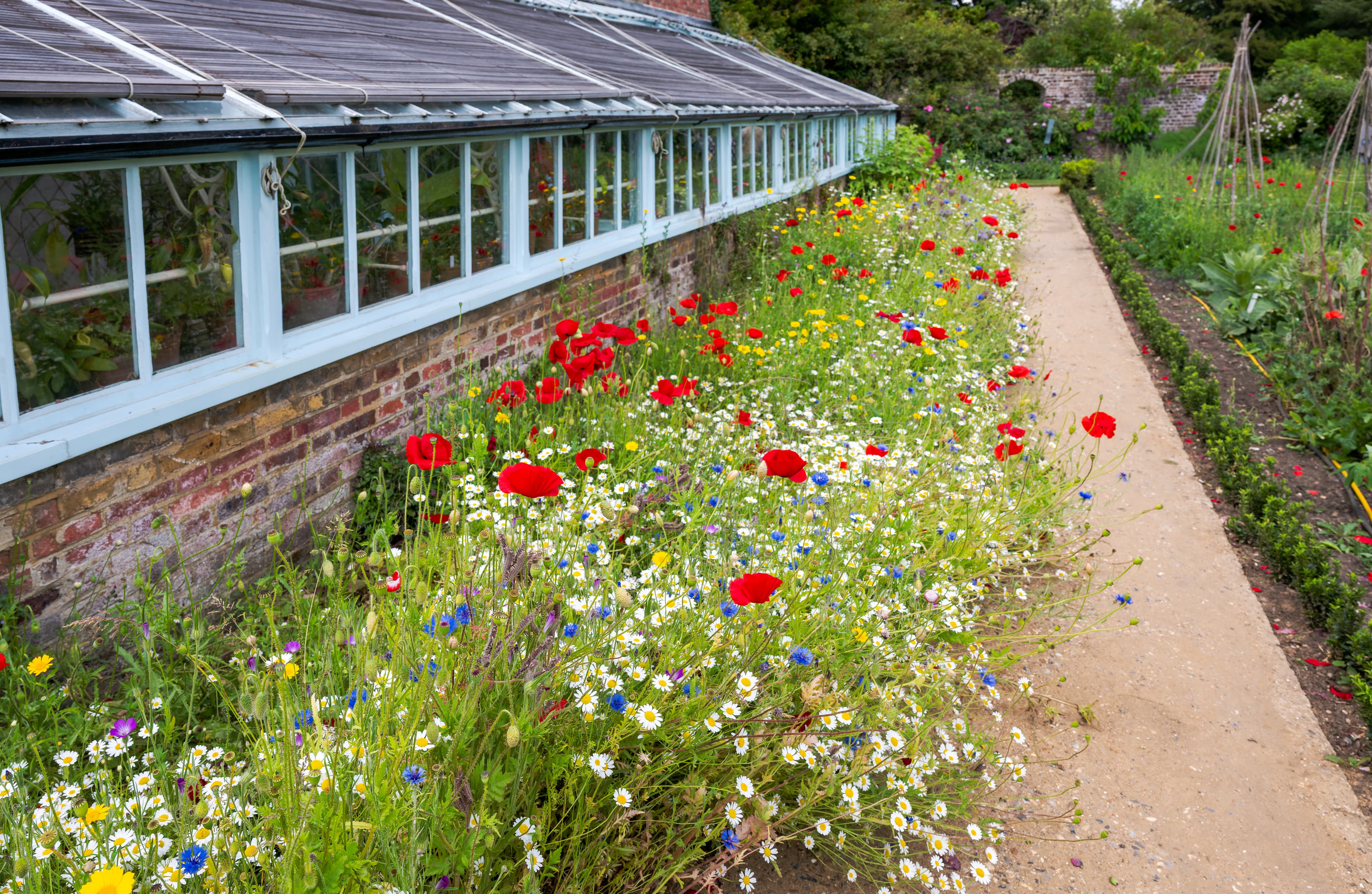 Petts Wood & Knoll, Bromley